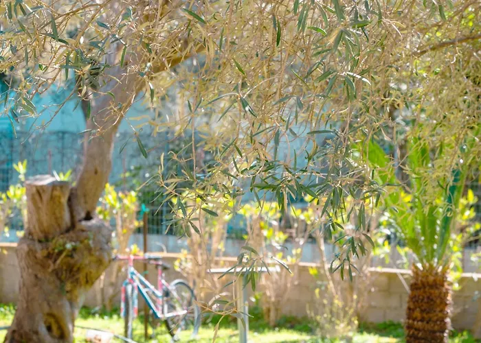 Διαμέρισμα Olia S *