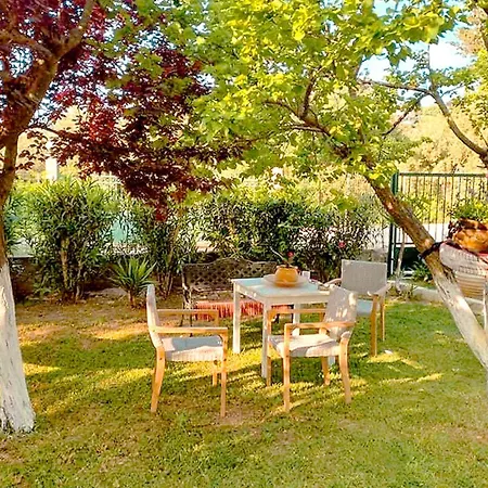 Apartament Olia S