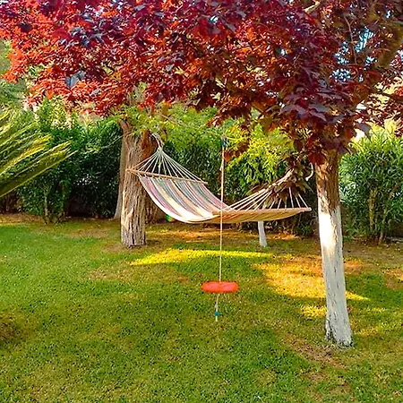 Apartament Olia S *